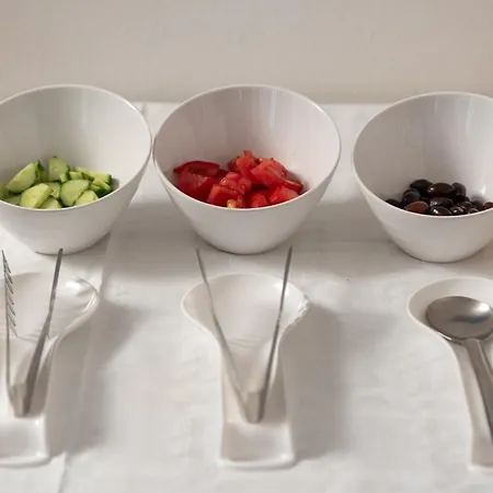 酒店 阿洛尼索斯之阿特瑞芙酒店